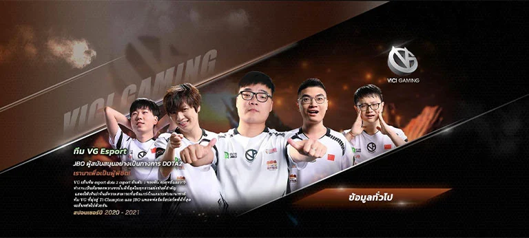 ทีม VG Esport